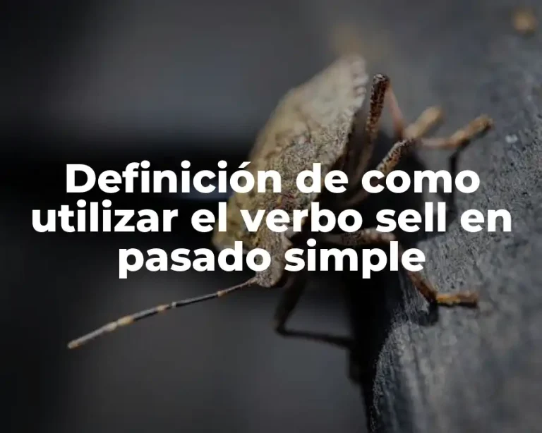 Definición de como utilizar el verbo sell en pasado simple