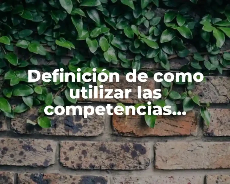 Definición de como utilizar las competencias emocionales