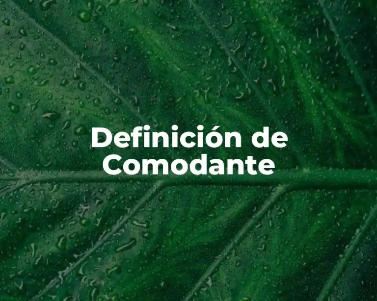 Definición de Comodante