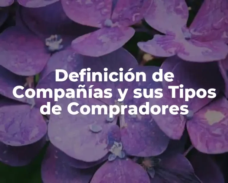 Definición de Compañías y sus Tipos de Compradores