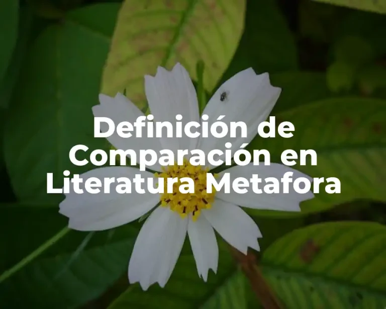 Definición de Comparación en Literatura Metafora