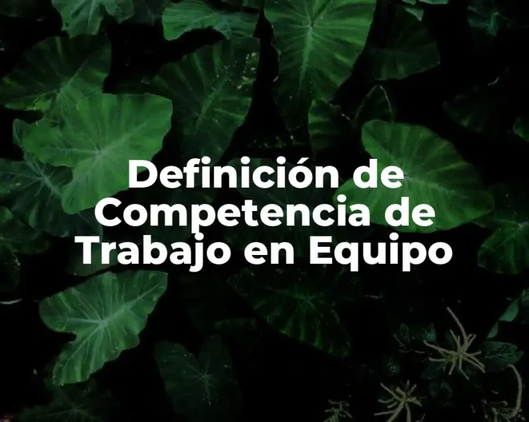 Definición de Competencia de Trabajo en Equipo