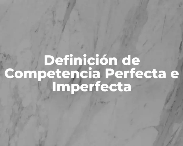 Definición de Competencia Perfecta e Imperfecta