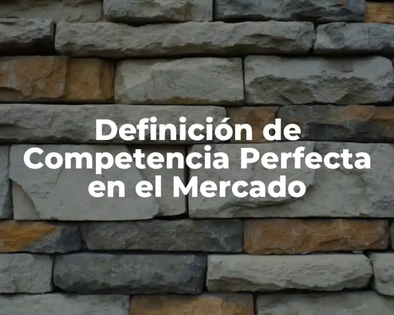 Definición de Competencia Perfecta en el Mercado