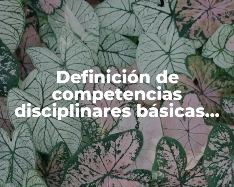 Definición de competencias disciplinares básicas EMS