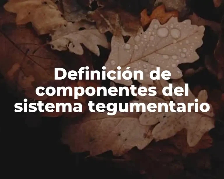 Definición de componentes del sistema tegumentario