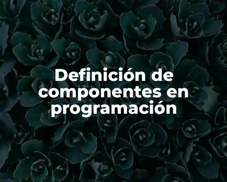 Definición de componentes en programación