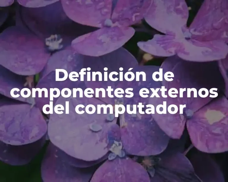 Definición de componentes externos del computador
