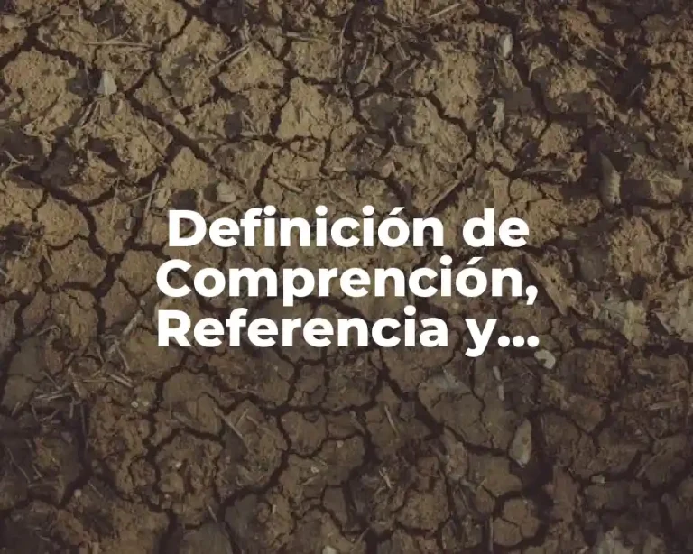 Definición de Comprención, Referencia y Información