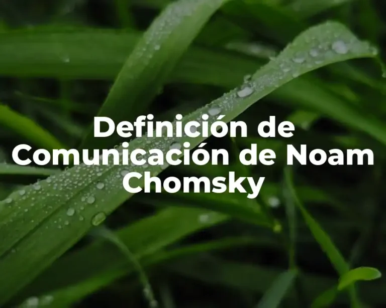 Definición de Comunicación de Noam Chomsky