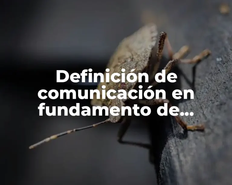 Definición de comunicación en fundamento de telecomunicaciones