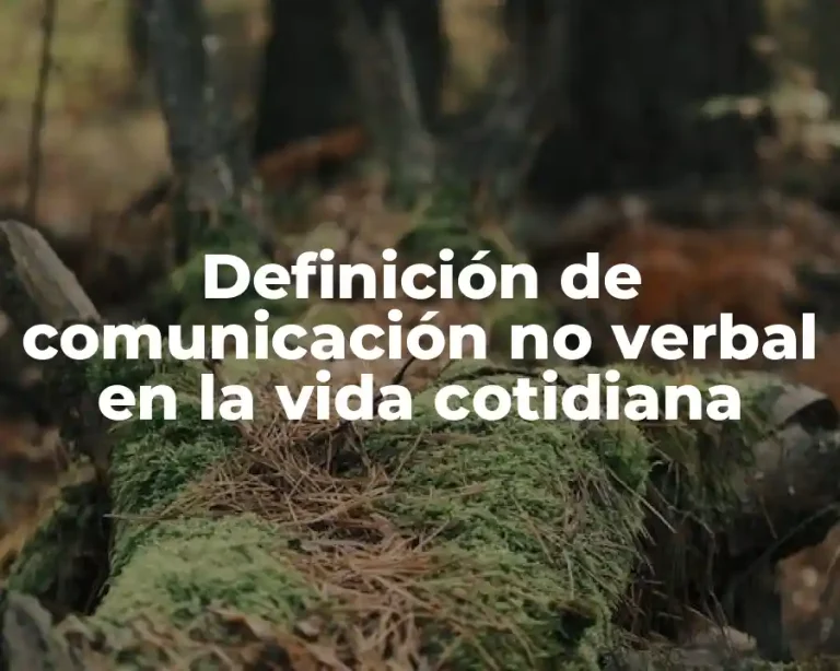 Definición de comunicación no verbal en la vida cotidiana