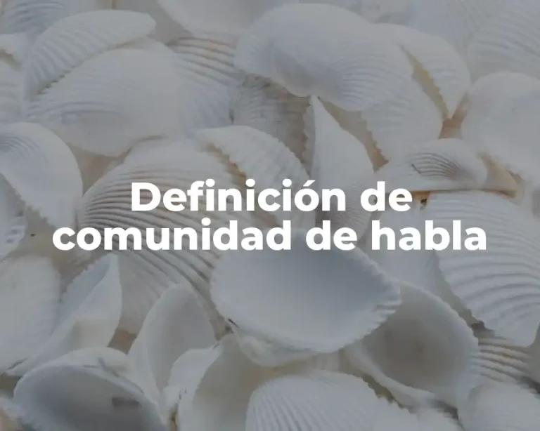 Definición de comunidad de habla