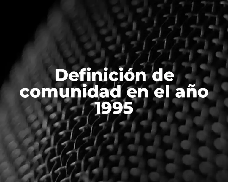 Definición de comunidad en el año 1995