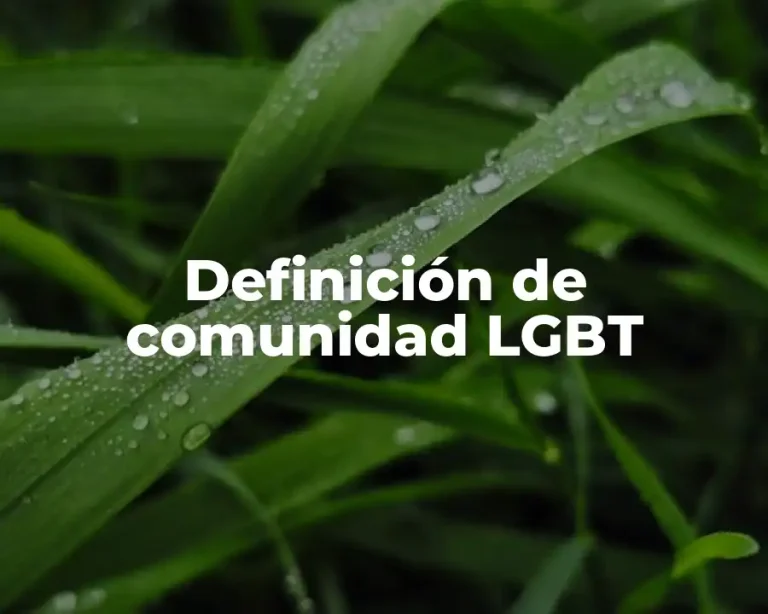 Definición de comunidad LGBT
