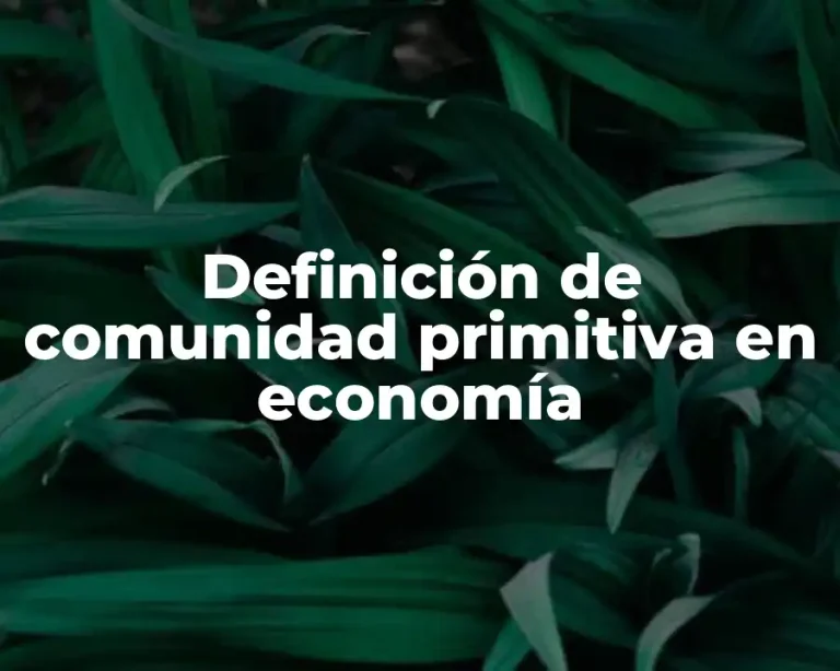Definición de comunidad primitiva en economía