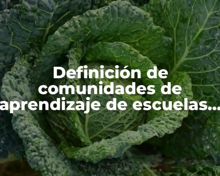 Definición de comunidades de aprendizaje de escuelas secundarias