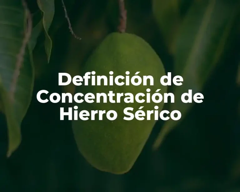 Definición de Concentración de Hierro Sérico