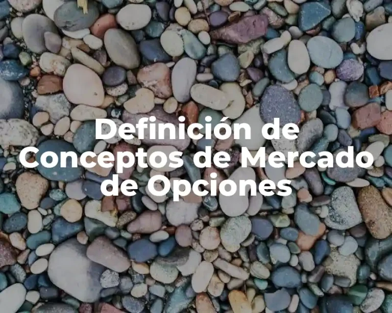 Definición de Conceptos de Mercado de Opciones