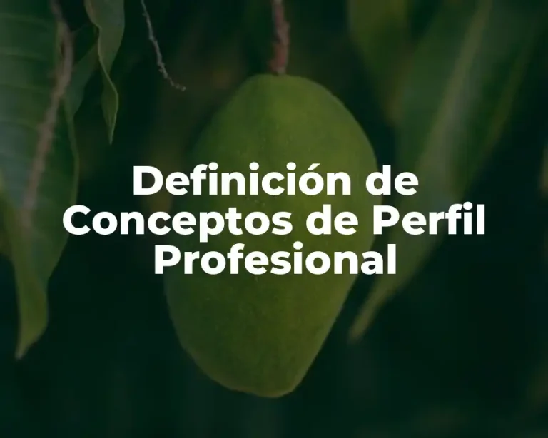 Definición de Conceptos de Perfil Profesional