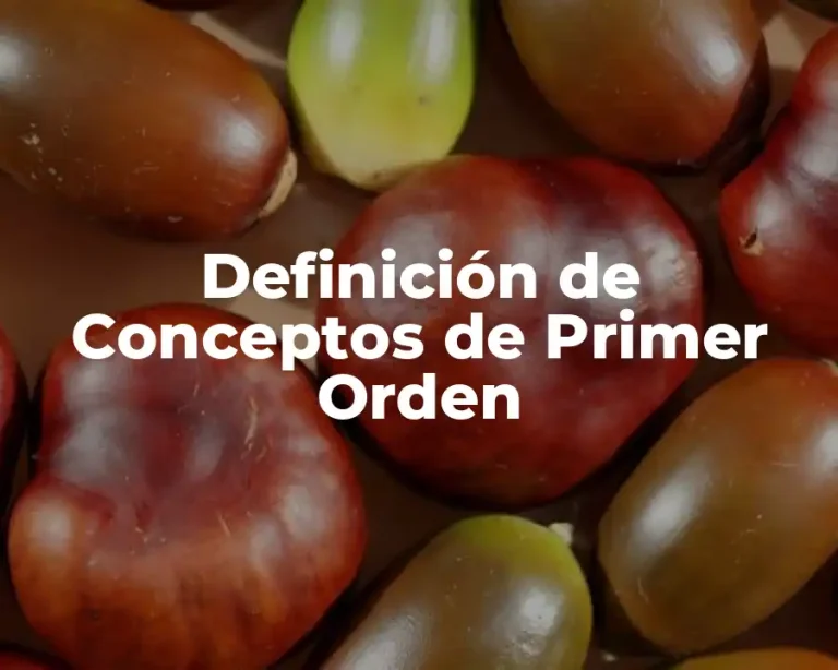 Definición de Conceptos de Primer Orden