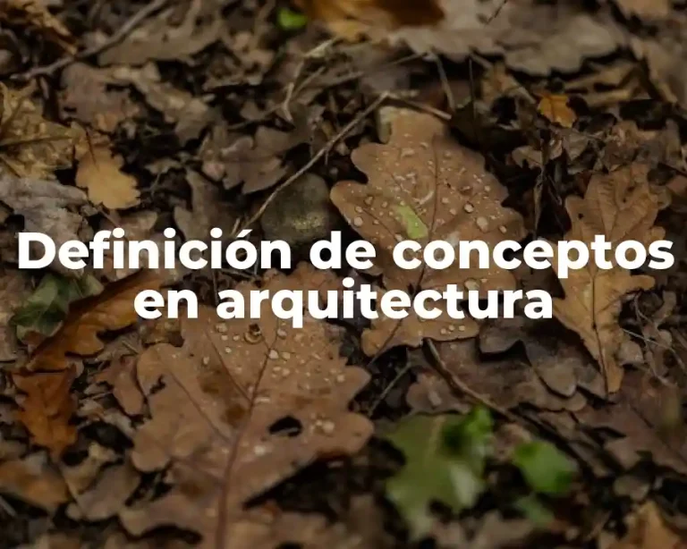 Definición de conceptos en arquitectura