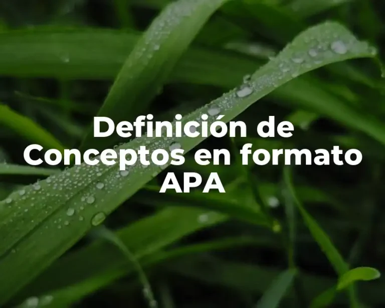 Definición de Conceptos en formato APA