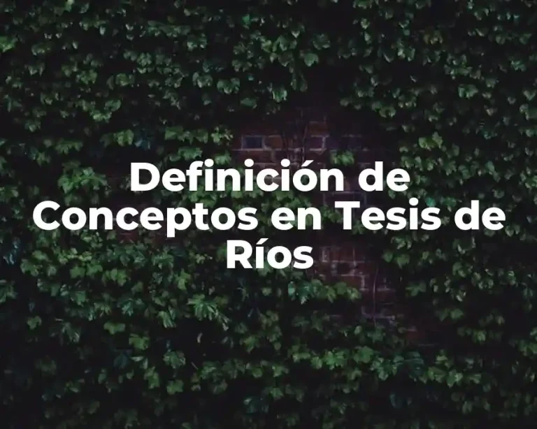 Definición de Conceptos en Tesis de Ríos