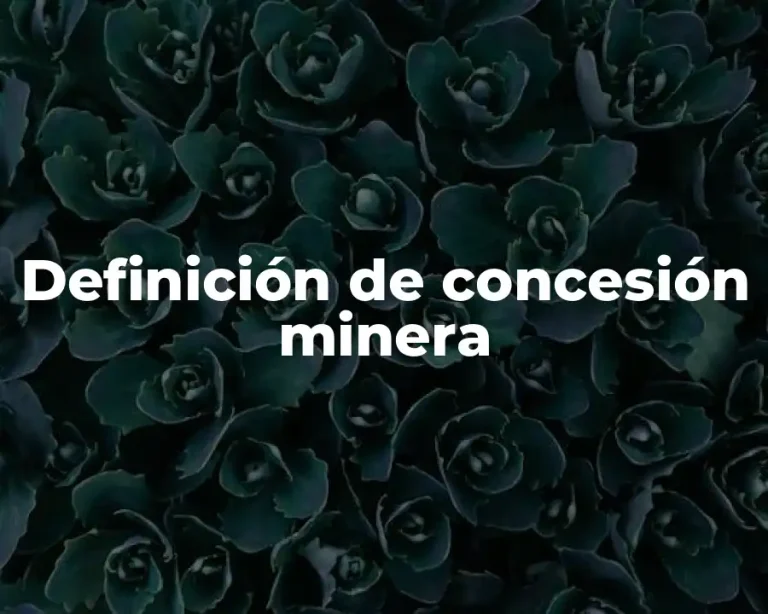 Definición de concesión minera