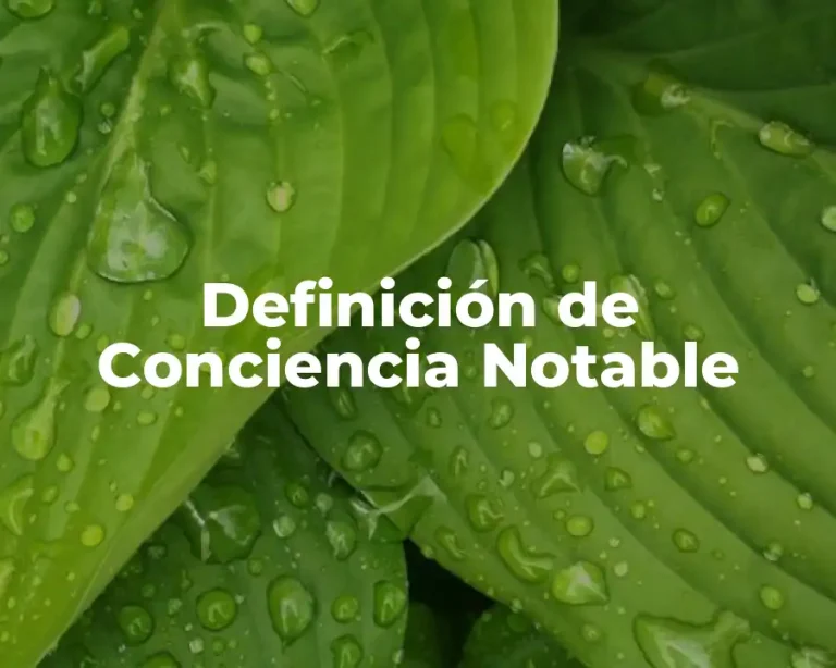 Definición de Conciencia Notable