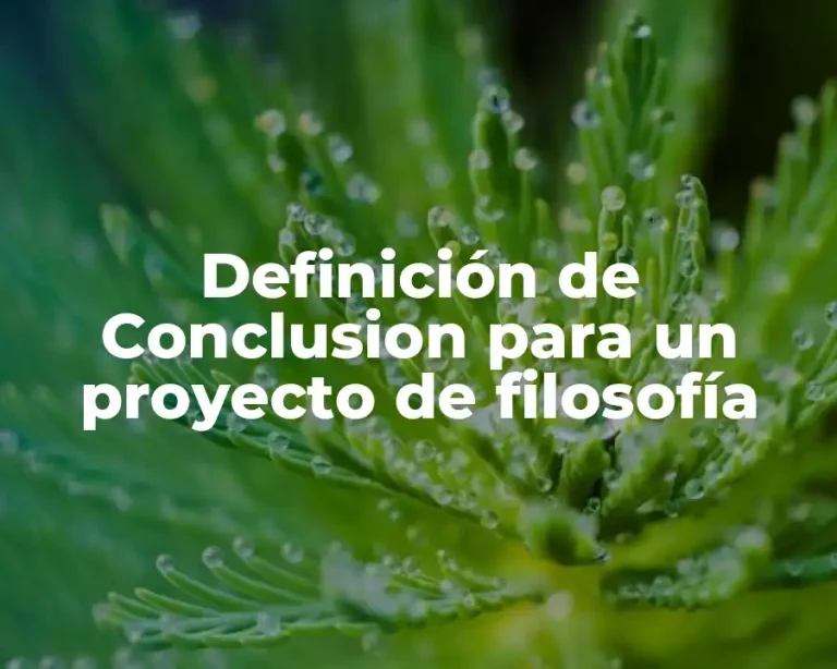 Definición de Conclusion para un proyecto de filosofía