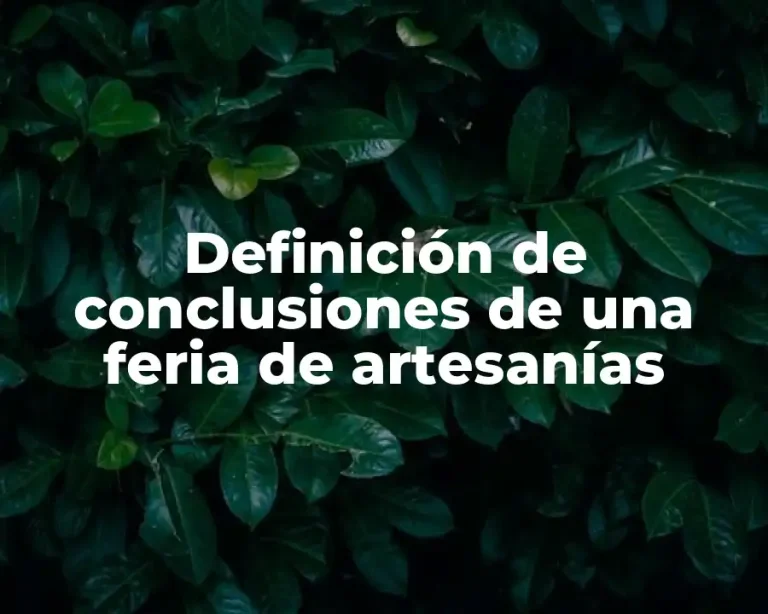 Definición de conclusiones de una feria de artesanías