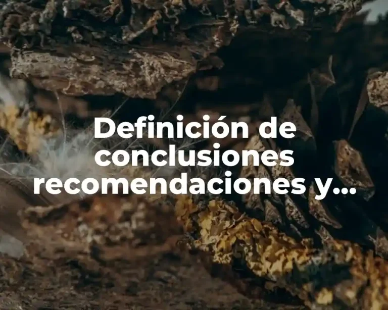 Definición de conclusiones recomendaciones y experiencia adquirida en un proyecto