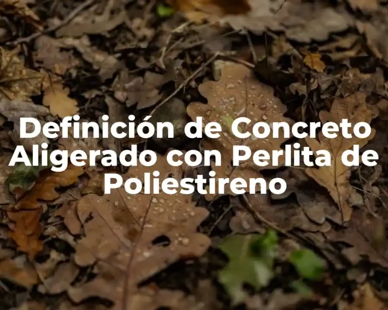 Definición de Concreto Aligerado con Perlita de Poliestireno