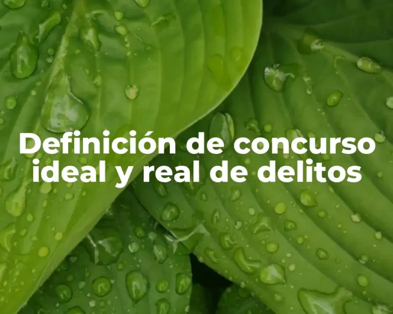 Definición de concurso ideal y real de delitos