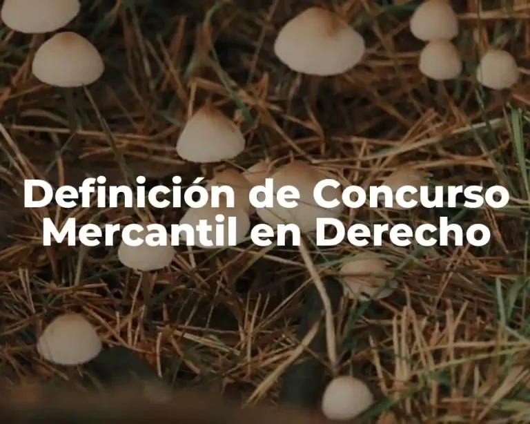 Definición de Concurso Mercantil en Derecho