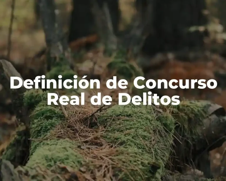 Definición de Concurso Real de Delitos