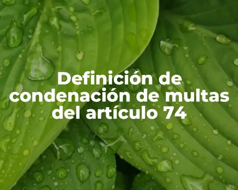 Definición de condenación de multas del artículo 74
