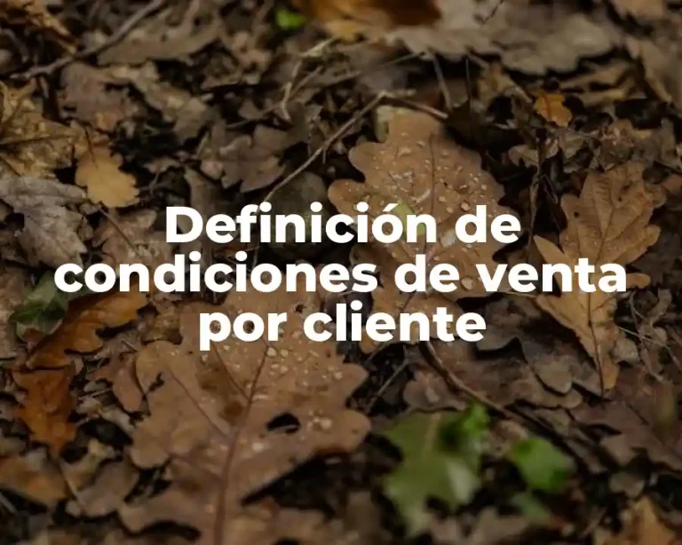 Definición de condiciones de venta por cliente