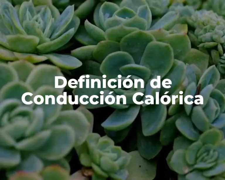 Definición de Conducción Calórica