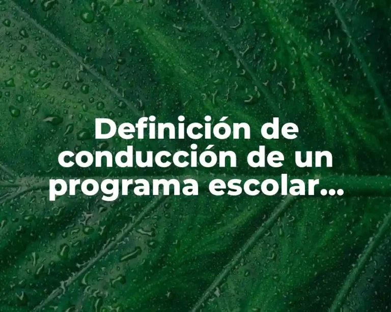 Definición de conducción de un programa escolar juvenil