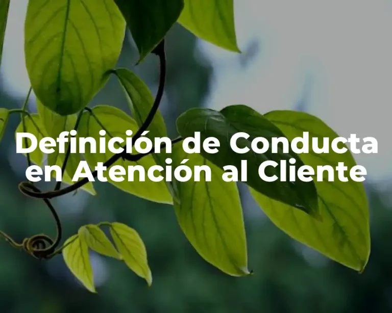 Definición de Conducta en Atención al Cliente