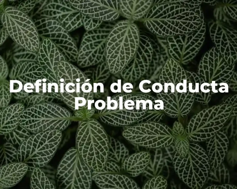 Definición de Conducta Problema