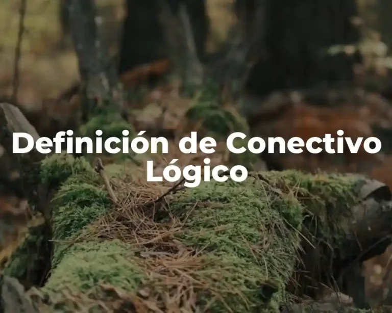 Definición de Conectivo Lógico