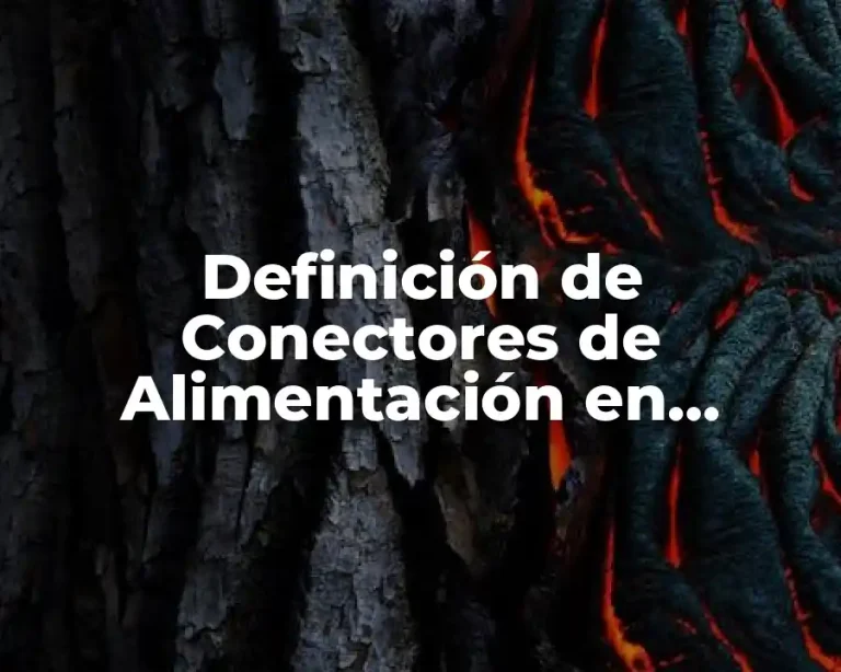 Definición de Conectores de Alimentación en Informática