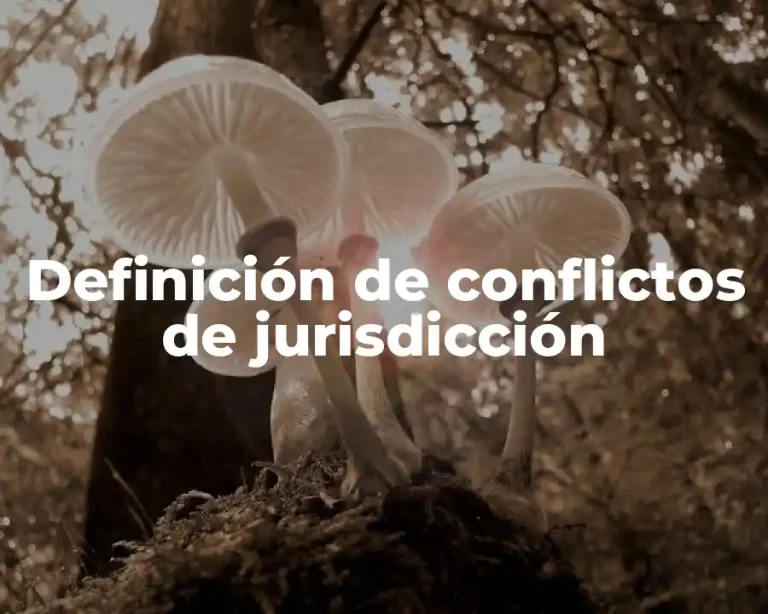 Definición de conflictos de jurisdicción