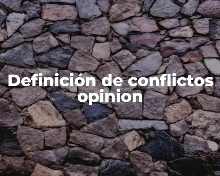 Definición de conflictos opinion