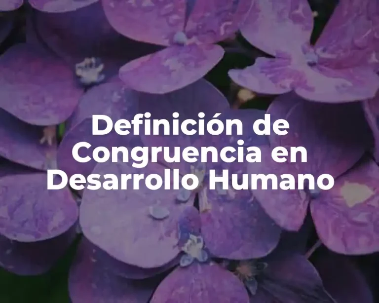 Definición de Congruencia en Desarrollo Humano