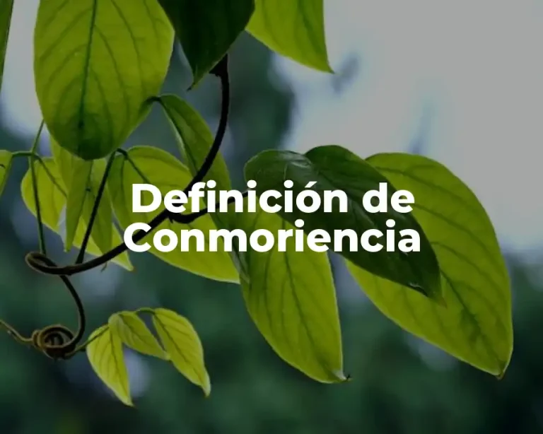 Definición de Conmoriencia