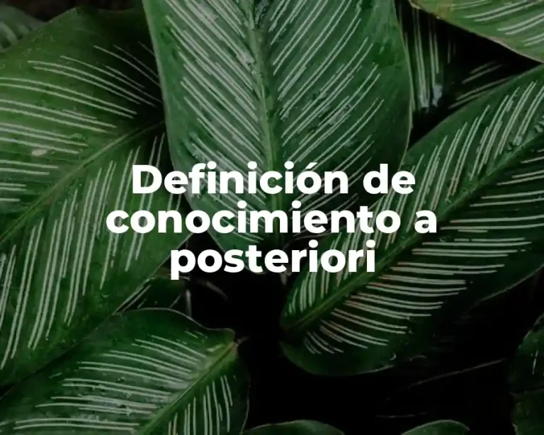 Definición de conocimiento a posteriori
